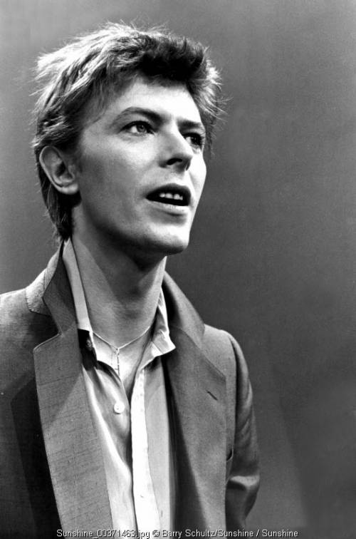 BOWIEOLOGY | We Heart It | david bowie